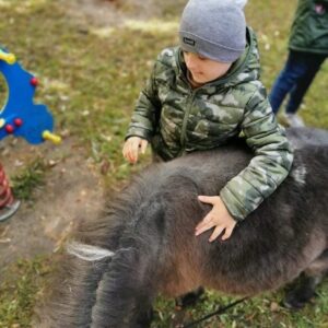 Hippotherapie und Onotherapie