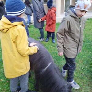 Hippotherapie und Onotherapie