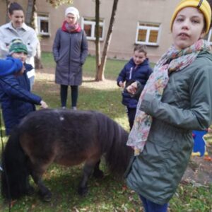 Hippotherapie und Onotherapie