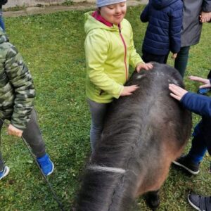 Hippotherapie und Onotherapie