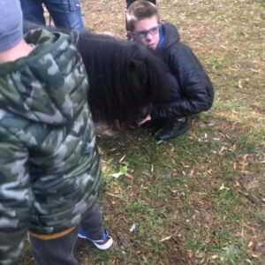 Hippotherapie und Onotherapie