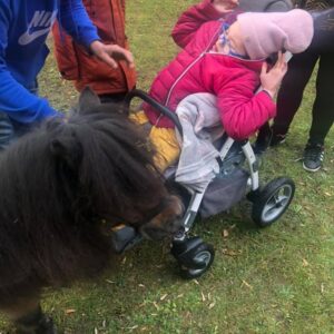 Hippotherapie und Onotherapie