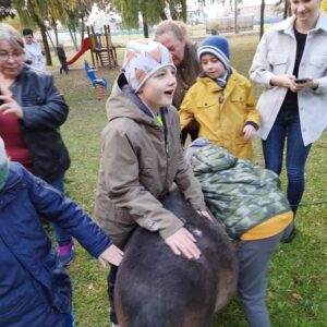 Hippotherapie und Onotherapie