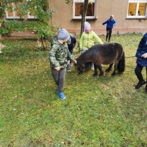 Hippotherapie und Onotherapie