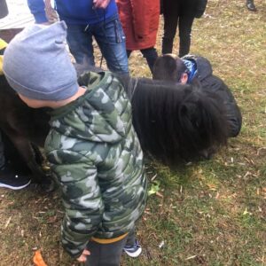 Hippotherapie und Onotherapie