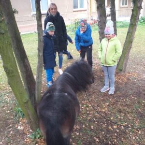 Hippotherapie und Onotherapie