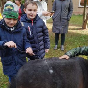 Hippotherapie und Onotherapie