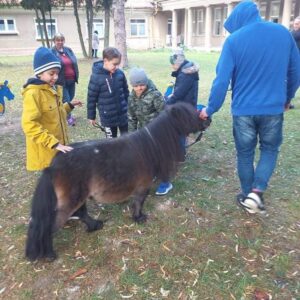 Hippotherapie und Onotherapie