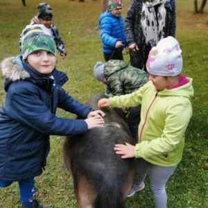 Hippotherapie und Onotherapie