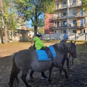 Hippotherapie und Onotherapie