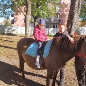 Hippotherapie und Onotherapie