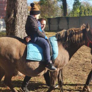 Hippotherapie und Onotherapie