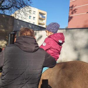 Hippotherapie und Onotherapie