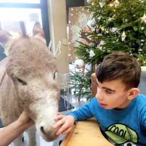 Hippotherapie und Onotherapie