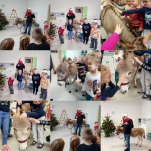 Hippotherapie und Onotherapie