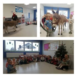 Hippotherapie und Onotherapie