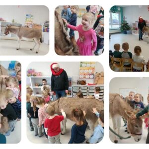 Hippotherapie und Onotherapie