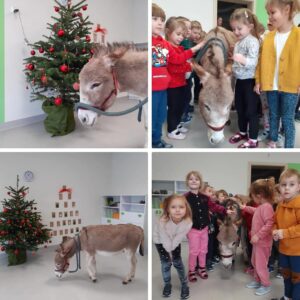 Hippotherapie und Onotherapie