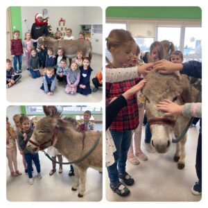 Hippotherapie und Onotherapie