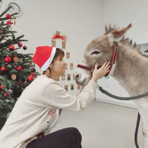 Hippotherapie und Onotherapie