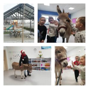 Hippotherapie und Onotherapie
