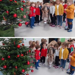 Hippotherapie und Onotherapie