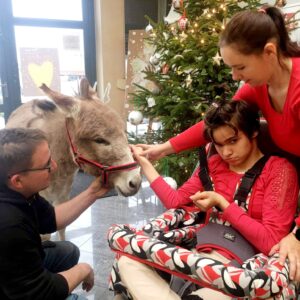 Hippotherapie und Onotherapie