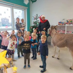 Hippotherapie und Onotherapie