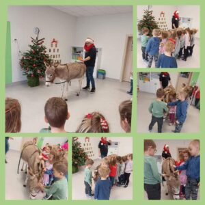 Hippotherapie und Onotherapie