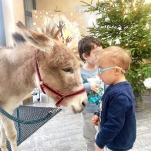 Hippotherapie und Onotherapie