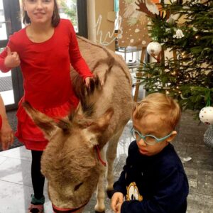 Hippotherapie und Onotherapie