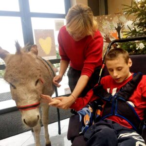 Hippotherapie und Onotherapie