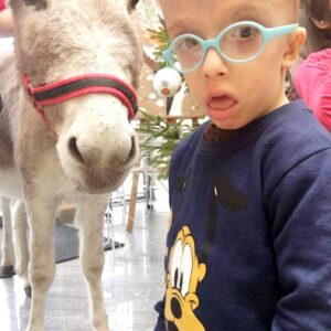 Hippotherapie und Onotherapie