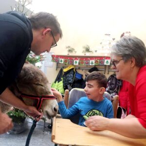 Hippotherapie und Onotherapie