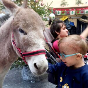 Hippotherapie und Onotherapie