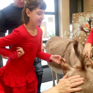 Hippotherapie und Onotherapie