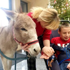 Hippotherapie und Onotherapie