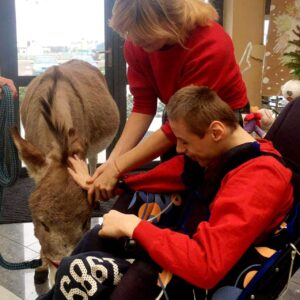 Hippotherapie und Onotherapie