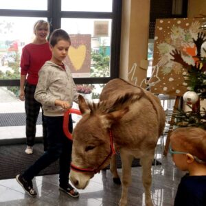 Hippotherapie und Onotherapie