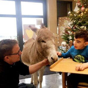 Hippotherapie und Onotherapie