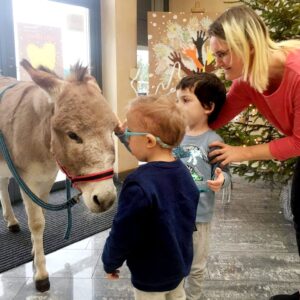 Hippotherapie und Onotherapie