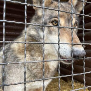 279363187_303952905251708_1999948943160598475_n