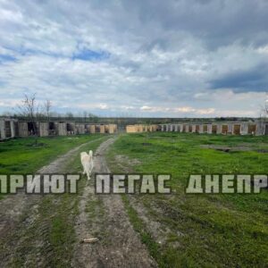 279367473_1150630379104458_1788184085921382852_n