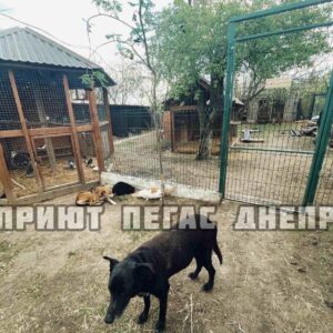 279368137_677458783311038_2969164173925804854_n