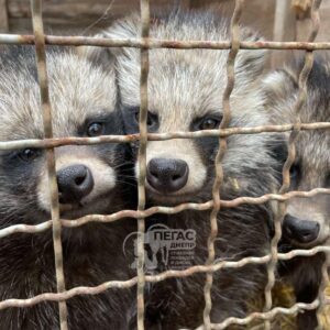 279369930_398504128785204_7308848847531280262_n