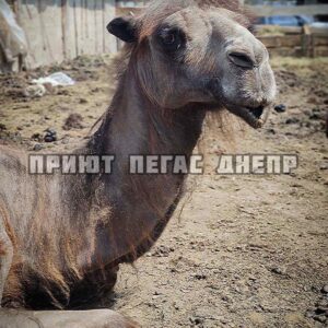 279373093_523006866087184_1400058135227058513_n