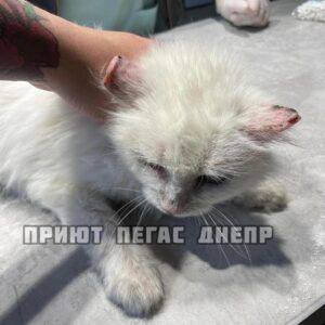 279379462_382776380437439_2325127177183503807_n