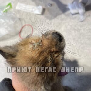 279383921_8178478605511244_5283982473896058375_n (1)