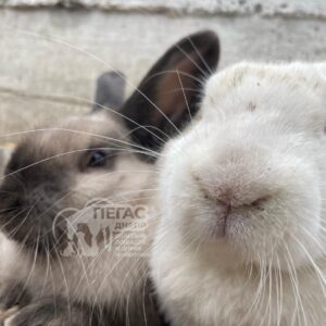 279385243_680699506525391_5791191588612692838_n