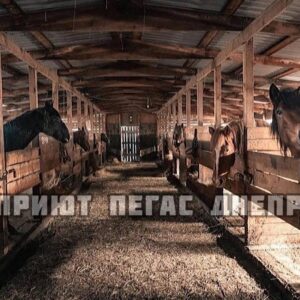 279399283_680725076476544_7443367494387482338_n